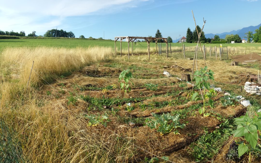 Création de la cour d’école Montessori du pays Rochois en permaculture