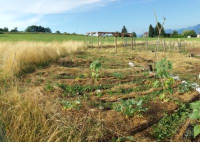 Création de la cour d’école Montessori du pays Rochois en permaculture