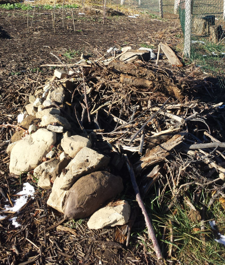 abri naturel faune permaculture