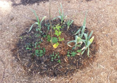 Jardin particulier et espaces locatifs en permaculture à Annecy