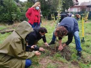 plantation foret fruitière annemasse