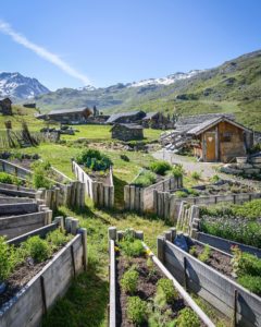 permaculture pepe nicolas savoie