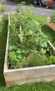 design permaculture jardin particulier