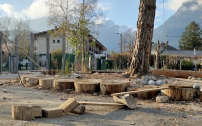 Végétaliser sa cour d’école : un premier pas, pas une fin en soi